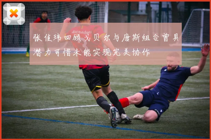 张佳玮回顾戈贝尔与唐斯组合曾具潜力可惜未能实现完美协作