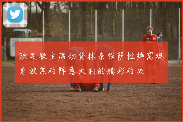 欧足联主席切费林亲临萨拉热窝观看波黑对阵意大利的精彩对决
